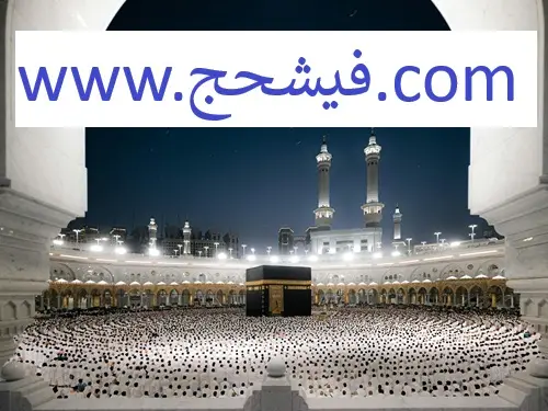 تحلیل و پیش بینی قیمت فیش حج تمتع سال 1405